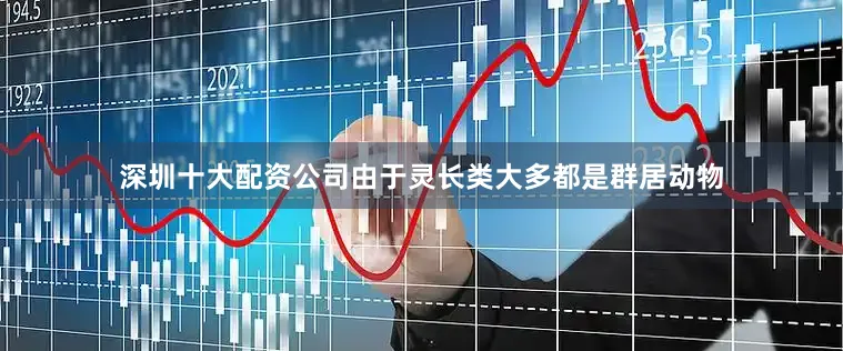 深圳十大配资公司由于灵长类大多都是群居动物